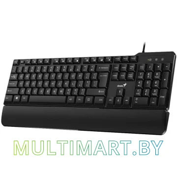 Клавиатура Genius KB-100XP картинка 4